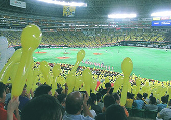 画像:プロ野球観戦ツアー